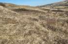 Oferta! Teren intrav., 1253 mp, frt: 41 m, in Borhanci, PUZ in lucru! - 8