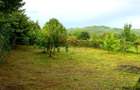 Teren Intravilan, central, plat, 805mp, Brebu Megiesesc Prahova - 1