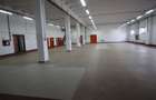 Hala productie    - Calea Torontalului de vanzare - 6
