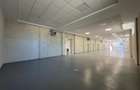 Spatiu Valea Lupului, Antibiotice, multifunctional, 334mp - 6