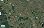 Terenuri extravilane Romanesti jud Iasi - 1