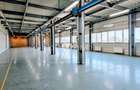 Hala zona Berceni I Depozitare I Productie I 4€+TVA/mp - 6