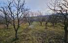 Teren extravilan 10,791mp Falticeni / Strada DJ209A, Opriseni - 16