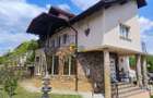 Vilă elegantă cu design luxos și grădină superb amenajată în Șag - 1