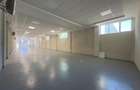 Spatiu Valea Lupului, Antibiotice, multifunctional, 334mp - 18