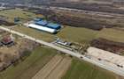 Teren extravilan de 7.000 mp lângă Păltiniș - 9