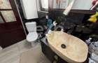 Jilva granița Măgurele 140 mp utili 1091 mp  piscina,solar toate utilitățile - 15