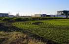 TEREN 762mp zona privata exclusivista Izvorani Delta Snagov la 100m lac - 9