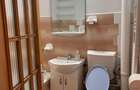 Apartament cu 1 cameră, zona Podu Ros - 5