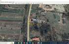 Teren intravilan intre Baile Herculane si Mehadia - 2