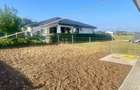 Vila 4 Camere Tamasi | Parter | Curte Mare | Finalizata | Curent, Gaze