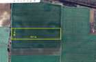GRADISTEA - Sat Sitaru, Tarla 41, 22.235 mp. teren agricol, ideal investitie - 1