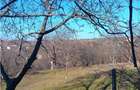 Bucium, Fundac Paun, teren1500mp. intravilan  str asfaltata - 2