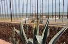 VILĂ PREMIUM CU VEDERE FRONTALĂ LA MAREA NEAGRĂ | SANTA MARIA BAY