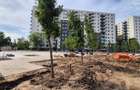 Teren intravilan 313 mp de vânzare Parcul Liniei – Sector 6 - 10