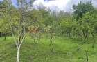 Mihaesti - Sat Draghici, teren intravilan, 7.280 mp