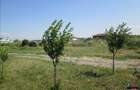 Teren intravilan Rezidential 15300mp zona Obor - str Tisa - 6
