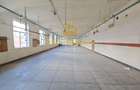 Platforma Industriala-8 ha -Fabrica-Hale Productie-21.500 mp - 14