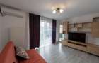 Apartament decomandat cu 2 camere de vanzare zona Pallady Gura Putnei - 12