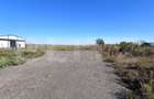 Teren intravilan 4.583 mp – Parc Industrial Sânandrei - 6