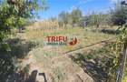 Casă cu teren de 1.603 mp – Bărăbanț, Alba Iulia