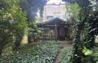 Proprietate unica la Grădina Icoanei - 14