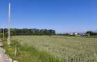 Teren 10.294 mp de vânzare Târgu Jiu | Intravilan + Extravilan | Utilități - 3