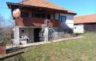 Două case de vânzare – Cerisor – teren generos 6996 mp - 6