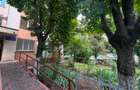 Dristor 3 Camere 65 Mp Etaj 1 Bloc Turn 1970 Reabilitat 5 Min Metrou - 14