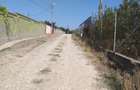 Poiana- str. Cerealelor, teren intravilan curti constructii 3417 mp de vanzare - 6