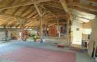 Lunei - Ion Neculce, 2 Apartamente. Mansarda 157 mp. Anexe, Lot 475 mp - 15
