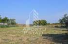 Teren intravilan de vanzare la Foeni, 13200 mp, front 24 m, Timis - 6