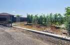 Teren extravilan, 196mp, deschidere 14ml, zona Cerenele - 2