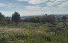 Teren intravilan, 1000 ari, Str. Miron Costin - 2