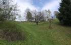 Teren intravilan, 19 eur/mp,  de -a lungul raului Simon( Bran-Brasov) - 2