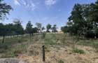 Casa de vacanta - Munteni Buzau - Jutetul Ialomita - Curte 2000mp  - 13
