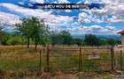 Teren de vânzare Satu Nou de Sus zona liniștită - 6