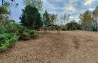 Vilă 380 mp cu deschidere la Lacul Snagov | 4.700 mp teren | Piscină - 4