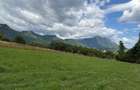 Teren intravilan  1000 mp zona Bran-Tohanita,langa padurela 10 km de Rasnov - 14