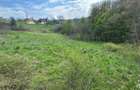 Terenuri extravilane in Luncoiu de Sus, Hunedoara - 1