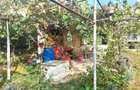 PROPRIETATE SUPERBA IN BIBIRESTI - 4