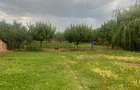 RECO Casa Tileagd - 1