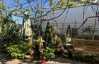 PROPRIETATE 250MP TEREN + CASA 101MP I KM 5 I OPORTUNITATE INVESTITIE - 7
