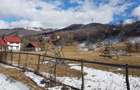 Teren de 10200mp,intravilan , cu deschidere la asfalt - 1