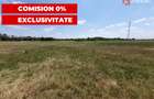 COMISION 0% Teren de vanzare intravilan de 5000 mp in zona Sagului - 6