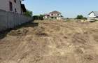 Teren de vanzare in Dumbravita - 3