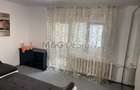 Apartament 1 camera Sagului parter cu balcon - 2