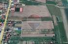 TEREN CU POTENTIAL - Satu Mare - 5