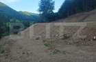 Teren de vanzare, 10.000 mp - Bistrita Bargaului, zona turistica - 4