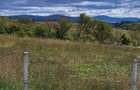 Teren Intravilan 2900mp Criseni - Pret 102.000eur neg - 5